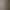 Poll Ceiling lamp
