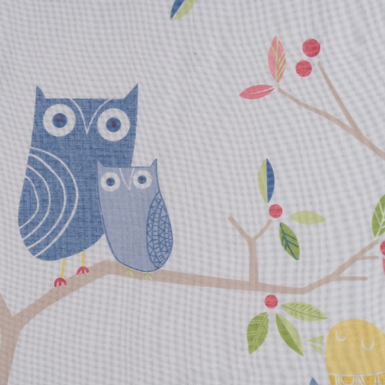 Owl White-Blue C1