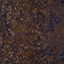 Arezzo made-to-measure jacquard curtains with botanical leaf pattern in gold, blue copper and bronze combinations