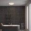 Antiba Ceiling lamp
