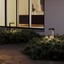 Armin Decorative Fixture