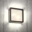 Brick Glass Ceiling lamp