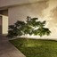 Tip Projector