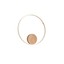 Orbit Ceiling lamp