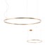 Orbit Pendant lamp