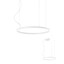Orbit Pendant lamp