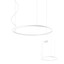Orbit Pendant lamp