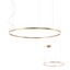 Orbit Pendant lamp