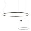 Orbit Pendant lamp