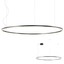 Orbit Pendant lamp