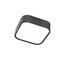 Screen Ip Ceiling lamp
