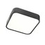 Screen Ip Ceiling lamp