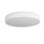 Yomo Ceiling lamp