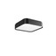Yomo Ceiling lamp