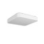 Yomo Ceiling lamp