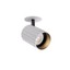 Delphi Ceiling lamp