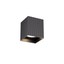 Delphi Ceiling lamp