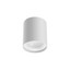 Hera Ceiling lamp