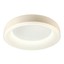Dip Ceiling lamp