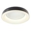 Dip Ceiling lamp