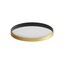 Dama Ceiling lamp