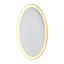 Vanity Mirror lamp
