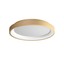 Iconic Ceiling lamp