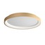 Iconic Ceiling lamp