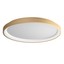 Iconic Ceiling lamp