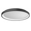 Iconic Ceiling lamp