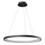 Iconic Pendant lamp