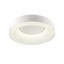 Dip Ceiling lamp