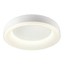 Dip Ceiling lamp
