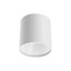 Hera Ceiling lamp