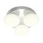 Ovum Ceiling lamp