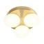 Ovum Ceiling lamp