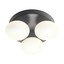 Ovum Ceiling lamp