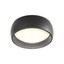 Poll Ceiling lamp