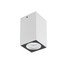Quad Ceiling lamp