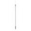 Torch Decorative Fixture