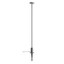 Elfic Decorative Fixture