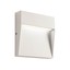Lander Step Light