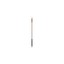 Torch Decorative Fixture
