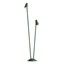 Nivalis Decorative Fixture