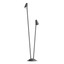 Nivalis Decorative Fixture