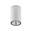 Ram Ceiling lamp