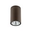 Ram Ceiling lamp