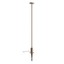 Elfic Decorative Fixture