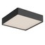 Nox Ceiling lamp