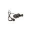 Torch Decorative Fixture